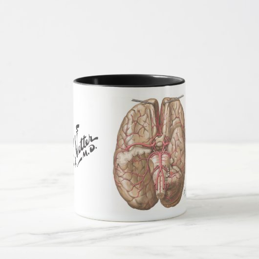 Netter Basal View of Brain - Mug マグカップ (中央)
