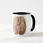 Netter Basal View of Brain  - Mug マグカップ (正面右)