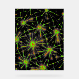 Neural Network Burst – Premium Acrylic Sign アクリルサイン