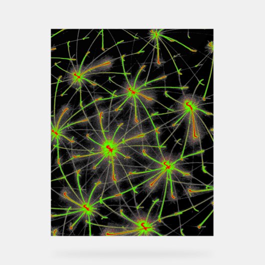 Neural Network Burst – Premium Acrylic Sign アクリルサイン (正面)