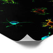 NeuroGalaxy Poster ポスター (角)