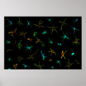 NeuroGalaxy Poster ポスター (正面)