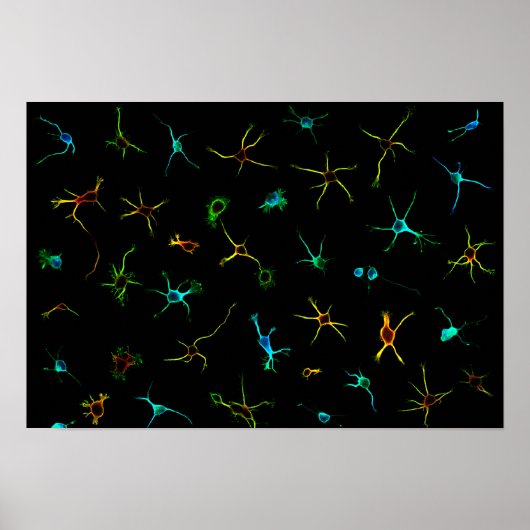 NeuroGalaxy Poster ポスター (正面)