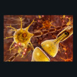 Neuron ポスター<br><div class="desc">Unlabeled illustration of a neuron</div>