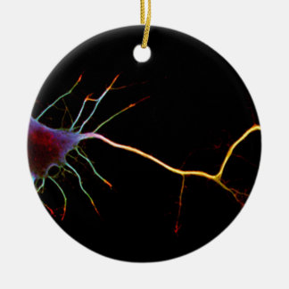 Neuroscience, neuron , science セラミックオーナメント