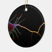 Neuroscience, neuron , science セラミックオーナメント (左)