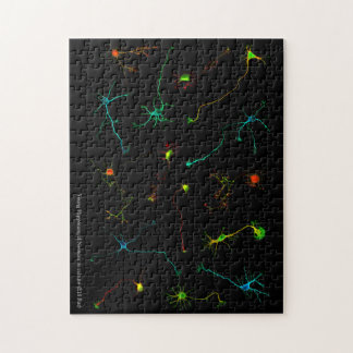 NeuroStage3パズル ジグソーパズル