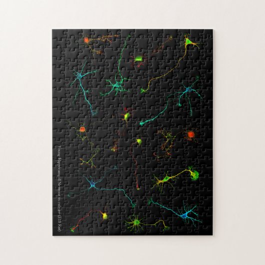 NeuroStage3パズル ジグソーパズル (縦)