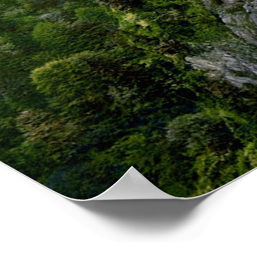 Neuschwanstein Castle, Bavaria, Germany ポスター (角)