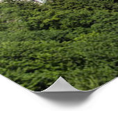 Neuschwanstein Castle Germany ポスター (角)