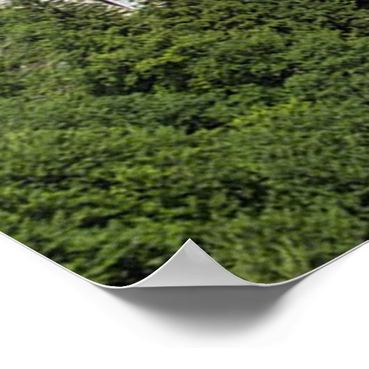 Neuschwanstein Castle Germany ポスター (角)