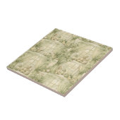 Neutral Nursery Teddy Bear Room Beige Pattern (2) タイル (側面)