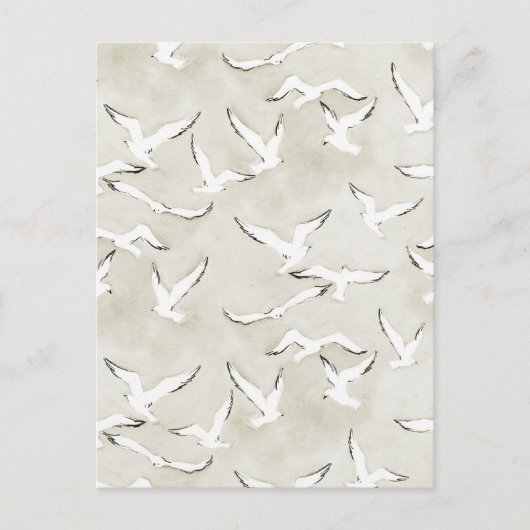 Neutral Seagull Bird Ocean Card. ポストカード (正面)