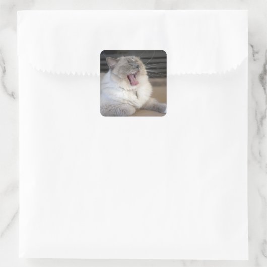 Neva Masquerade猫の大口 スクエアシール (バッグ)