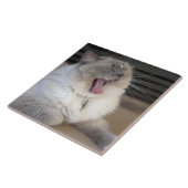 Neva Masquerade猫の大口 タイル (側面)