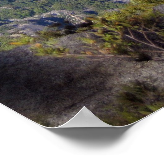 Nevada and Vernal Falls (Poster) ポスター (角)