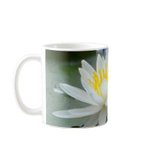 Never 与え Up《植物》スイレン