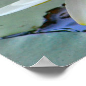 Never 与え Up《植物》スイレン ポスター (角)