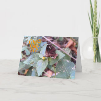 Never 与え Up 空白の Butterfly Greeting Card カード
