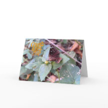 Never 与え Up 空白の Butterfly Greeting Card