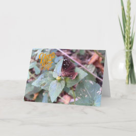 Never 与え Up 空白の Butterfly Greeting Card カード