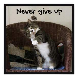 Never 与え Up - Cat Chasing Mouse ポスター