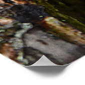 NEVER 与え UP - snail edition ポスター (角)