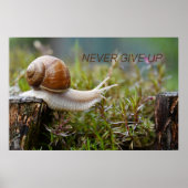NEVER 与え UP - snail edition ポスター (正面)