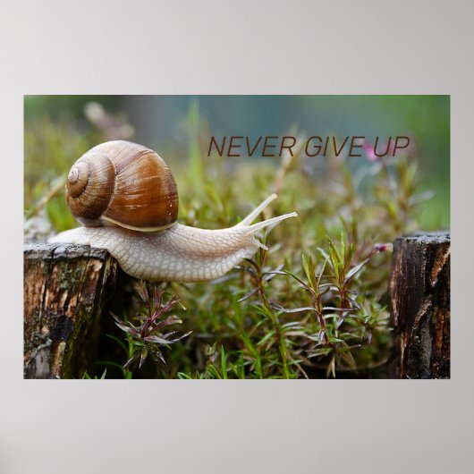 NEVER 与え UP - snail edition ポスター (正面)
