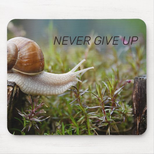 NEVER 与え UP - snail edition マウスパッド (正面)