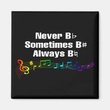 Never B Flat、時にはBシャープな磁石