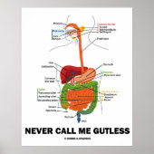 Never Call Me Gutless (Digestive System Humor) ポスター (正面)