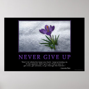 Never Give Up ポスター