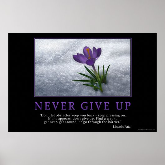 Never Give Up ポスター (正面)