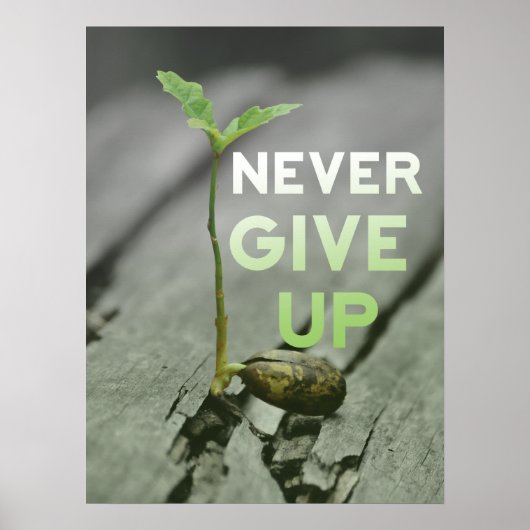 Never Give up Poster ポスター (正面)
