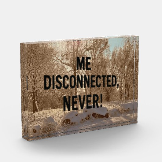 Never Not Connected — Forest Block フォトブロック (左)