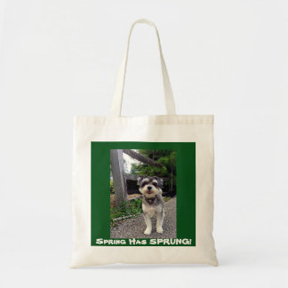 *NEW* 2015の春ははねました! カルミンのWinstonのトート トートバッグ