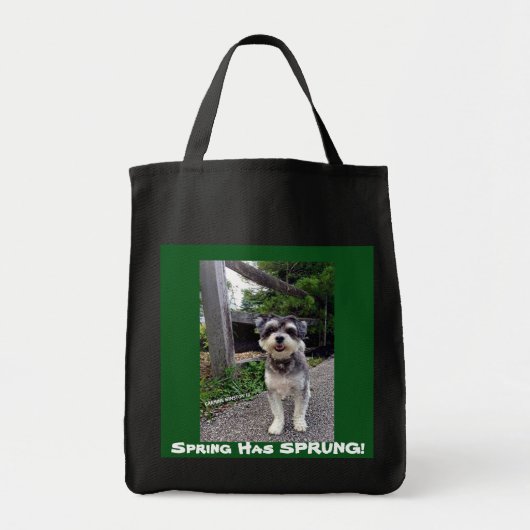 *NEW* 2015の春ははねました! カルミンのWinstonのトート トートバッグ (正面)