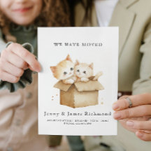 New Address Cute Cats in Carboard Box