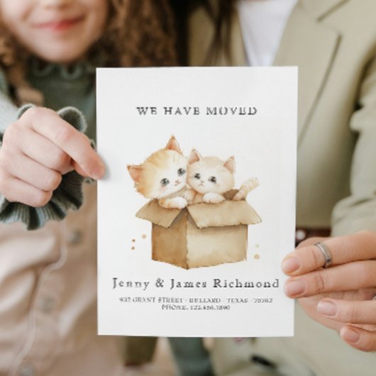 New Address Cute Cats in Carboard Box 案内状