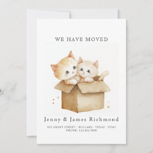 New Address Cute Cats in Carboard Box 案内状 (正面)