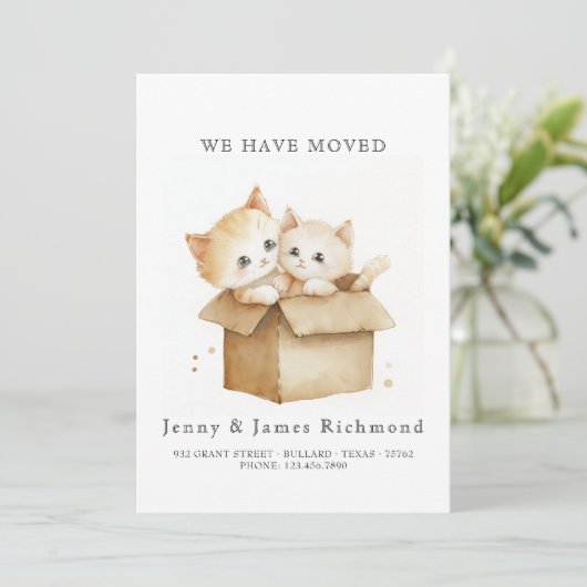 New Address Cute Cats in Carboard Box 案内状 (スタンド正面)