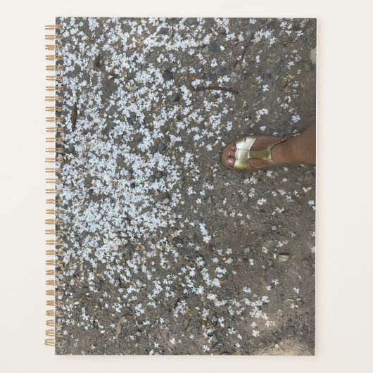 New Beginnings and First Stepsプランナー プランナー手帳 (正面)