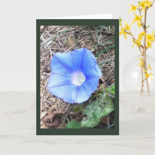 New Blue Morning Glory Blank カード (黄色い花)