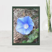 New Blue Morning Glory Blank カード (正面)