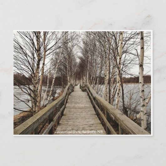 New Brunswick、カナダのはがき ポストカード (正面)
