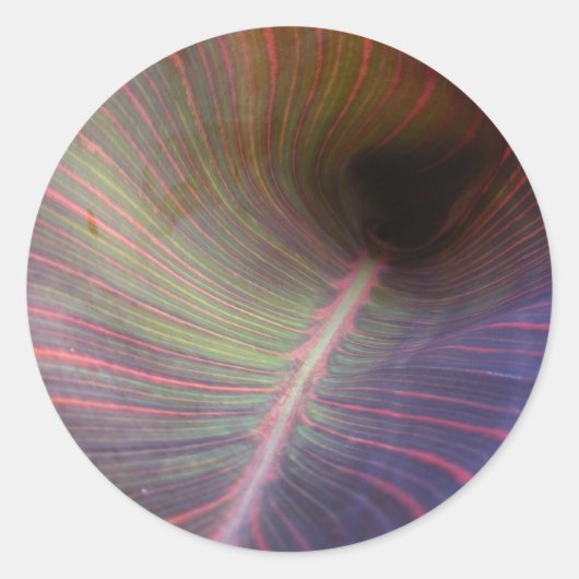 New Canna Leaf ～シール ラウンドシール (正面)