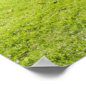 New Castle ポスター (角)