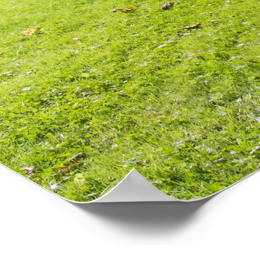 New Castle ポスター (角)