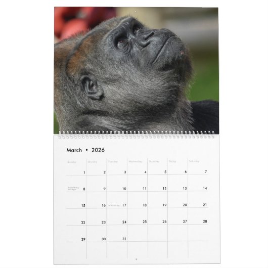 NEW for 2026 Gorilla Calendar カレンダー (3月 2026)